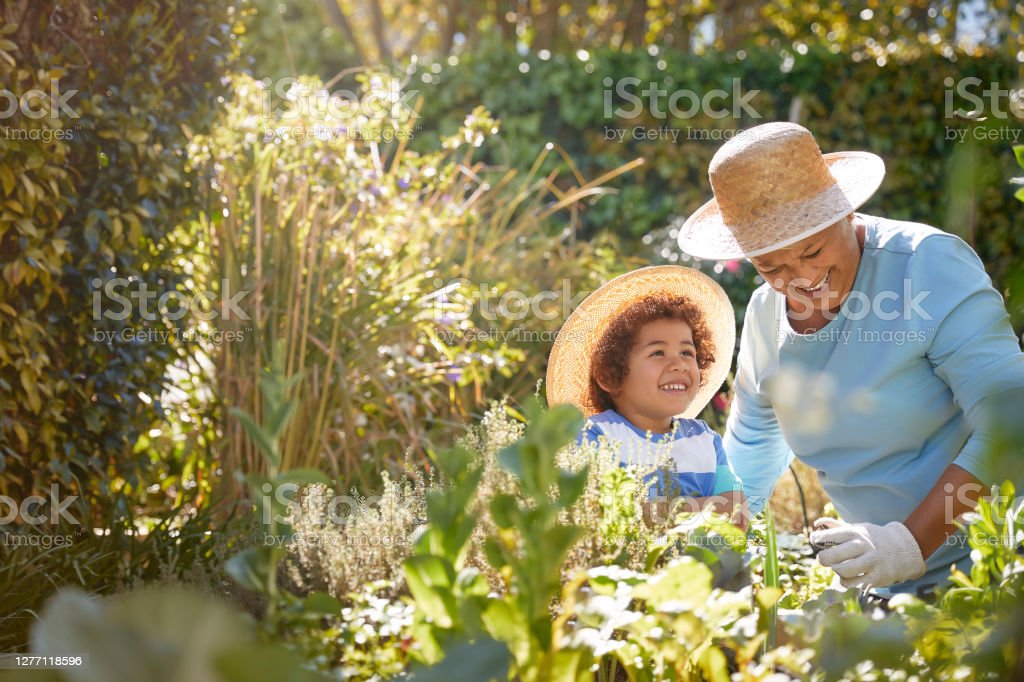 istockphoto-1277118596-1024x1024 istockphoto-1277118596-1024x1024